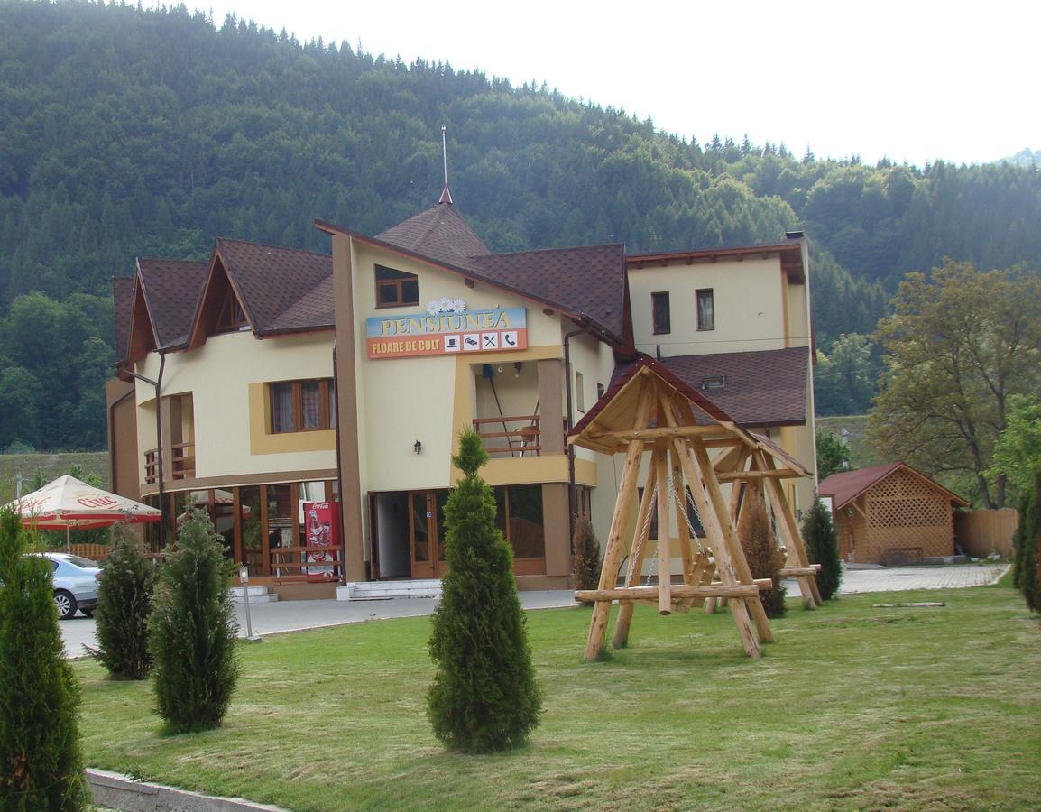 Pensiunea Floare De Colt Dragoslavele Exterior foto