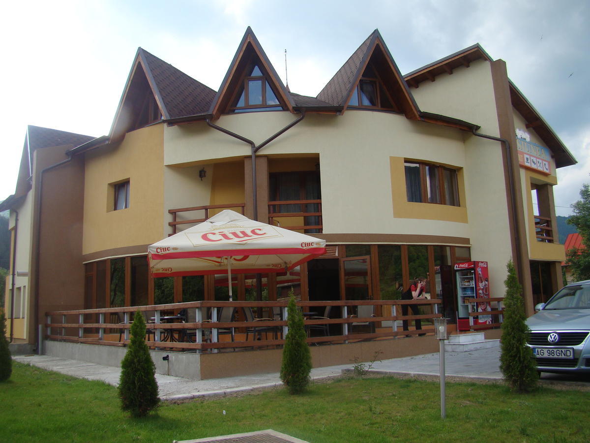 Pensiunea Floare De Colt Dragoslavele Exterior foto