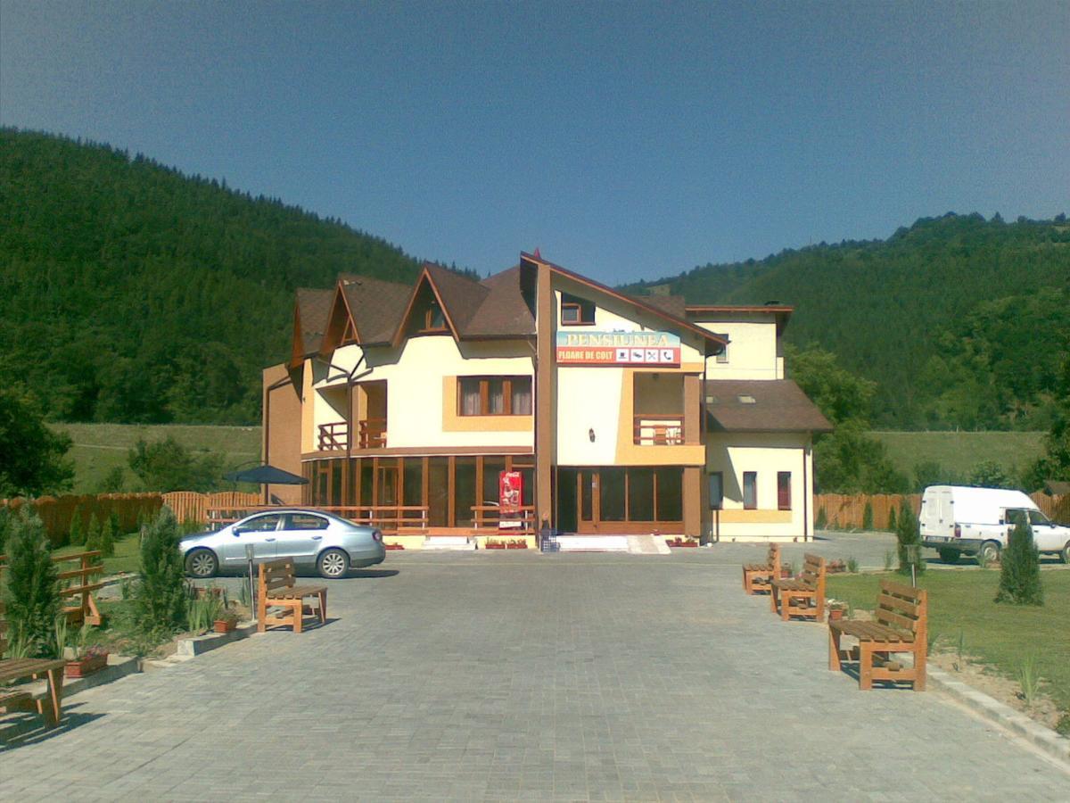 Pensiunea Floare De Colt Dragoslavele Exterior foto