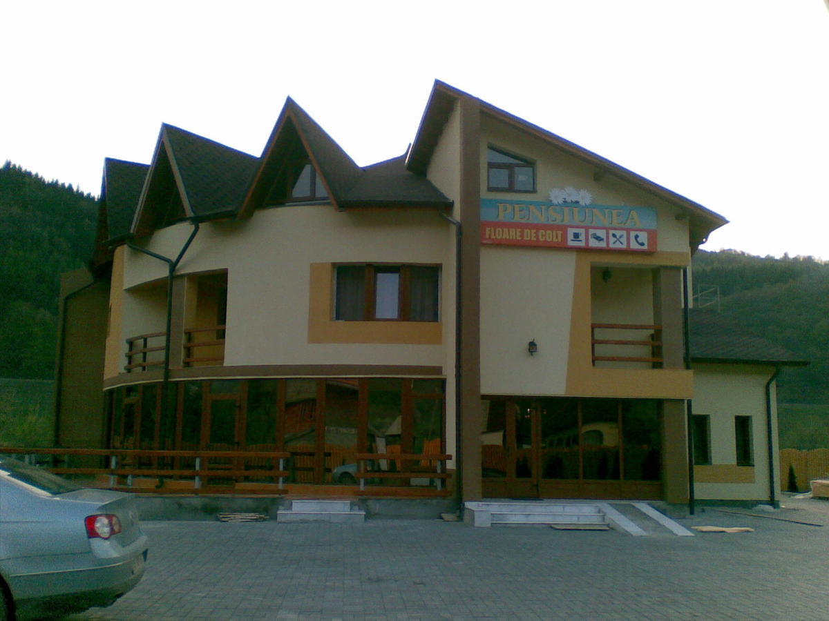 Pensiunea Floare De Colt Dragoslavele Exterior foto